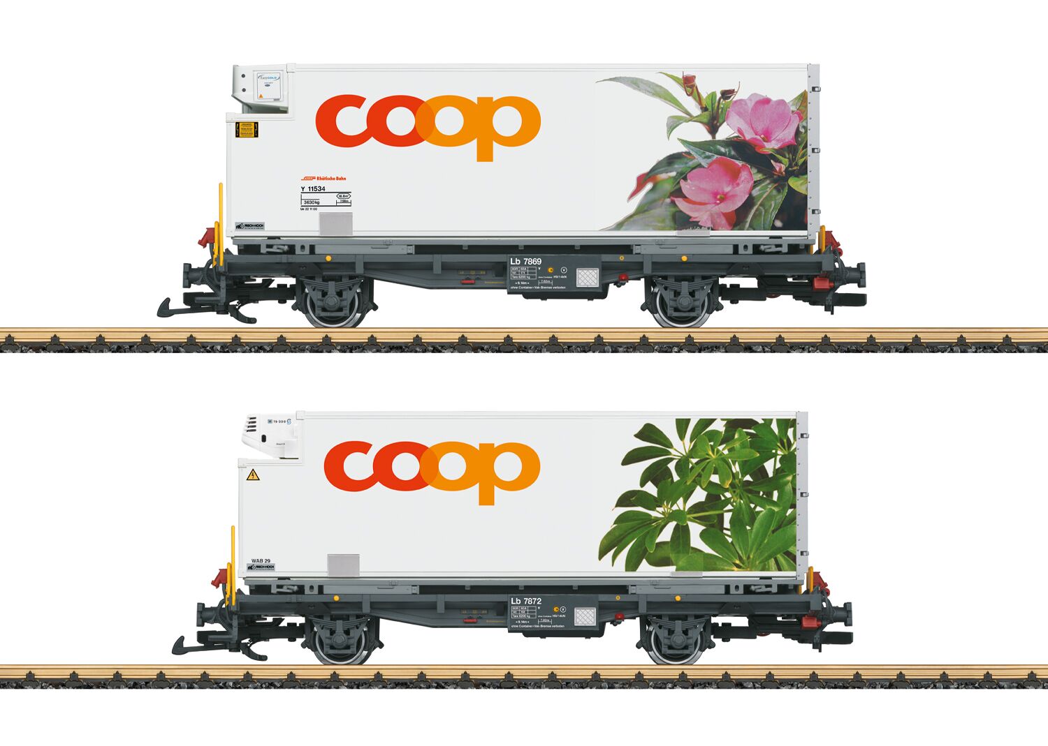 45885
